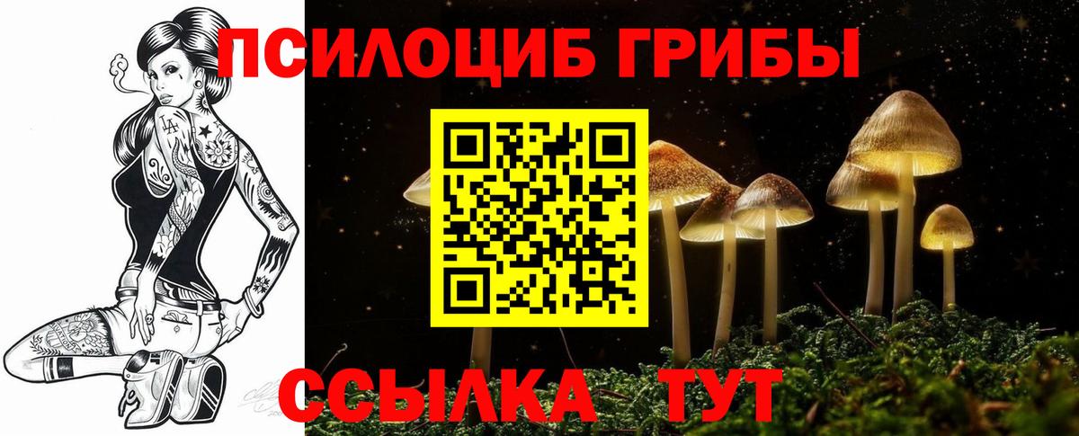 Псилоцибиновые грибы прущие грибы Учалы
